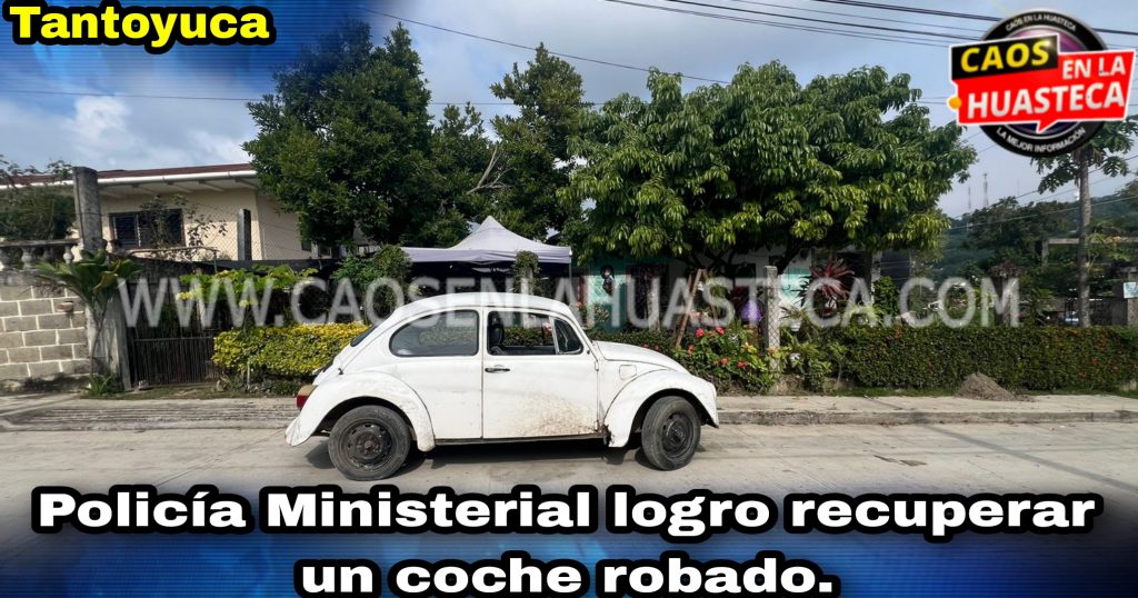 Picsart_24-01-04_16-02-34-256