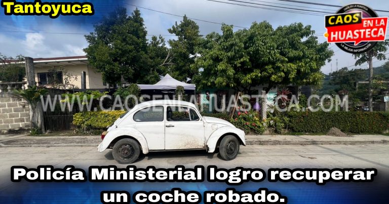 Picsart_24-01-04_16-02-34-256