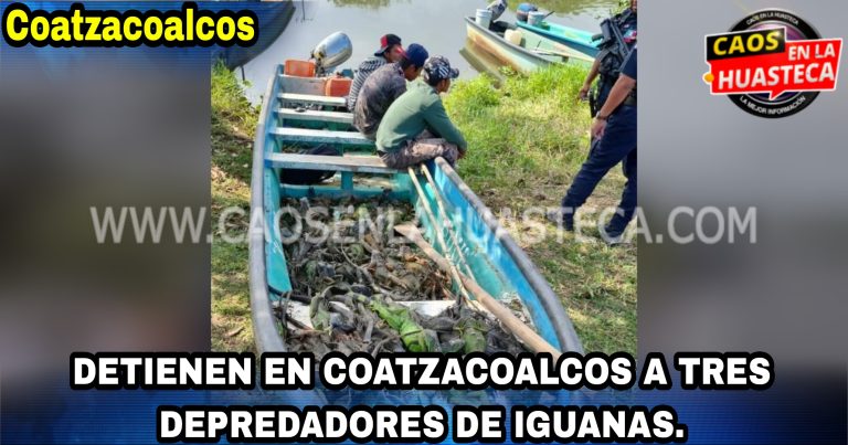 Picsart_24-03-01_17-01-10-739