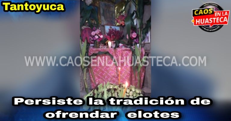 Picsart_24-03-14_11-50-44-257