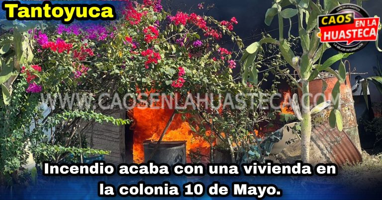 Picsart_24-04-11_19-59-38-311