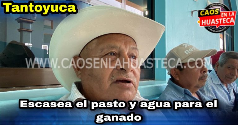 Picsart_24-04-16_10-36-01-642