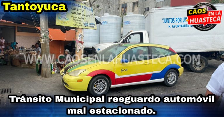 Picsart_24-05-24_16-49-50-704