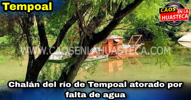 Picsart_24-06-10_10-20-02-347