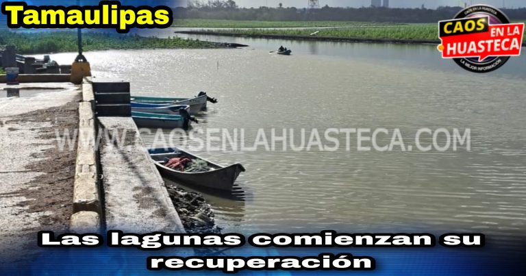 Picsart_24-06-21_11-09-54-561
