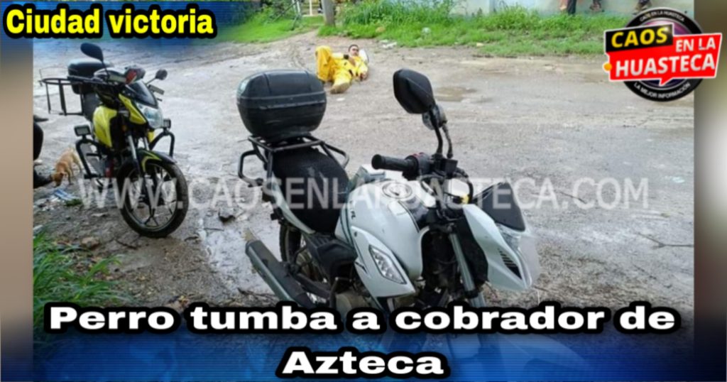 Picsart_24-07-02_18-44-27-052