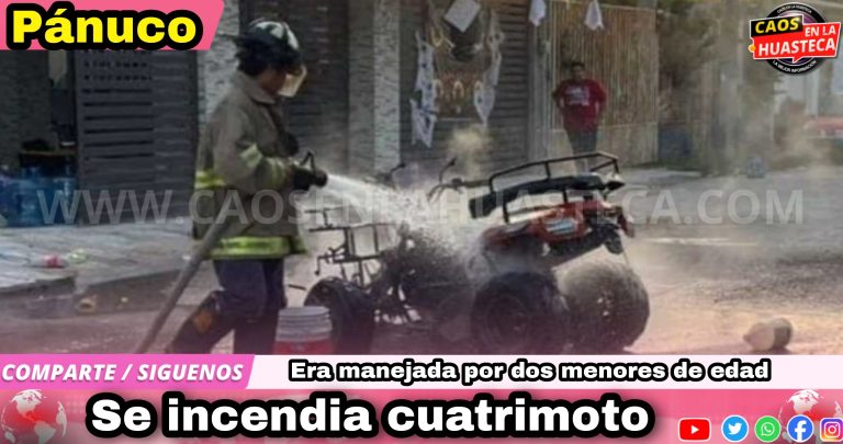 Picsart_24-10-28_18-15-11-004